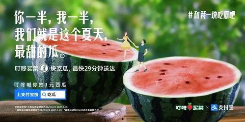 娱乐吃瓜博主文案短句,吃瓜博主短句背后的惊人真相